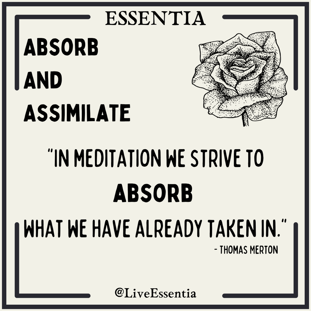 ABSORB & ASSIMILATE